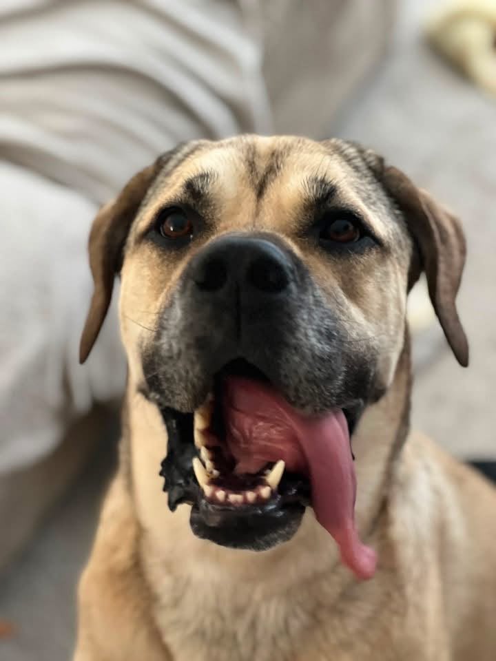 Cali smiling outside